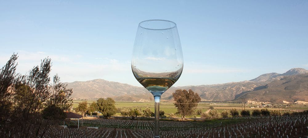 Cabo Wine Tasting