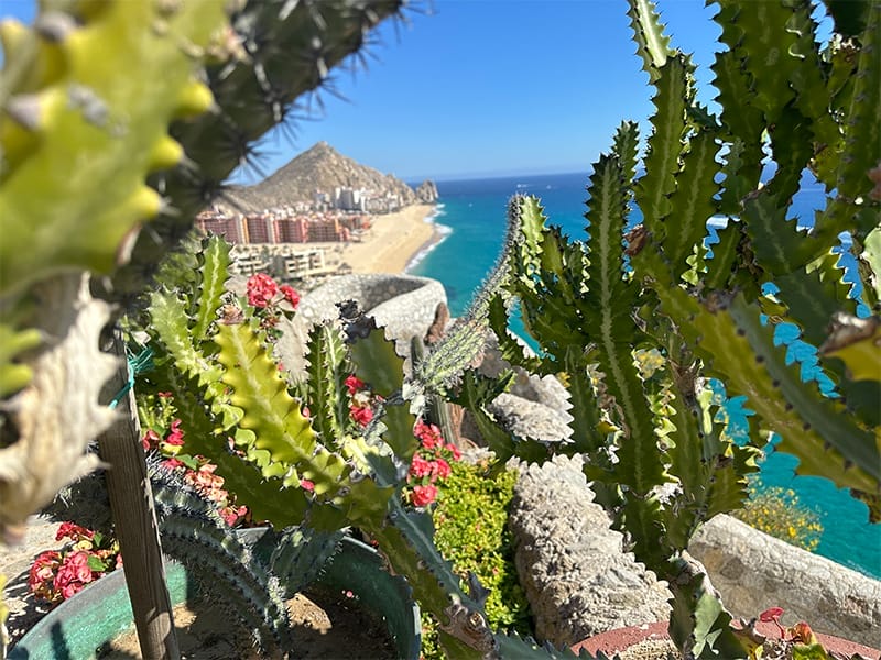 Casa Mirador Fauna