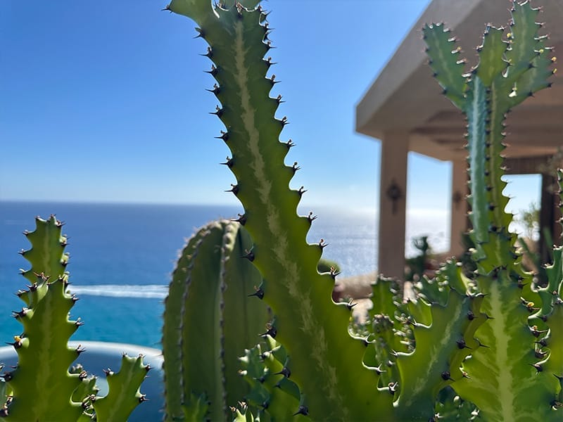 Casa Mirador Flora & Fauna