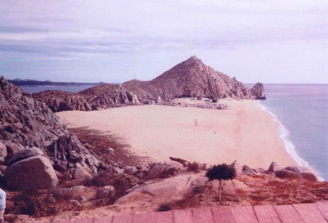 Pedregal 1987